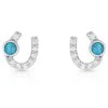 Er3394 Lightfoot Horseshoe Earrings By Montana Silversmiths
