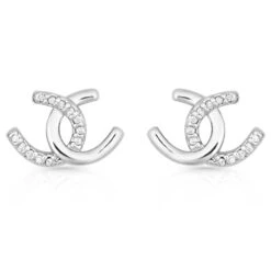 Er4505mt Horseshoe Happiness Post Earrings By Montana Silversmiths