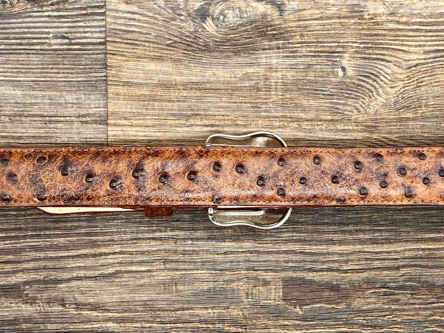 6064h Cognac Exotic Print Belt By Cowtown 2 6064h Cognac Exotic Print Belt By Cowtown - Image 2