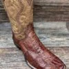 Corral L5737 Men's Patchwork Brown Ostrich Square Toe Western Boot By Circle-G